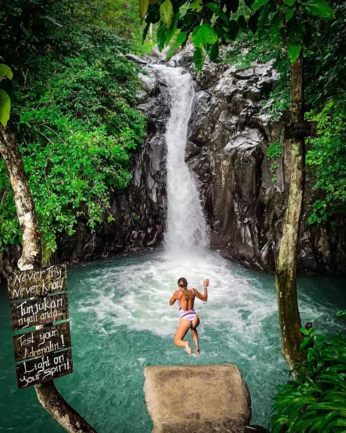 Nort of bali : Lovina beach, git-git waterfalls,aling aling waterfalls,ulun danu temple 
