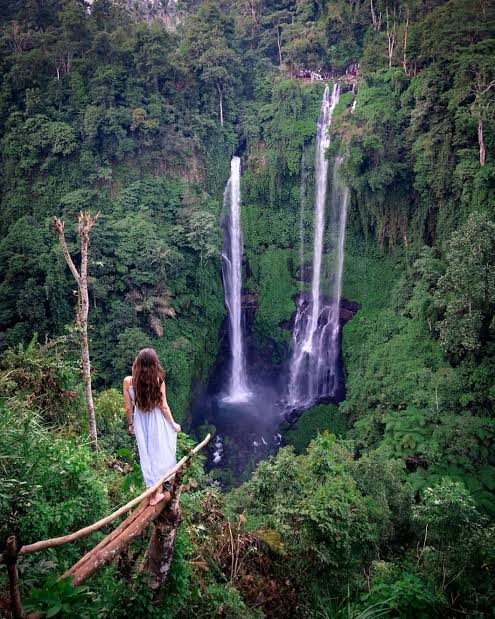 Nort of bali : Lovina beach, git-git waterfalls,aling aling waterfalls,ulun danu temple 